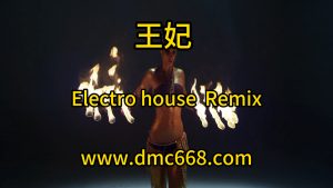 王妃-DMC视频舞曲
