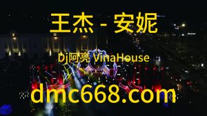 王杰 - 安妮(Dj阿亮 VinaHouse Rmx 2024)-DMC视频舞曲
