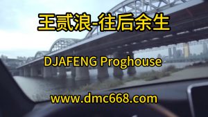 王贰浪-往后余生DJAFENG-DMC视频舞曲