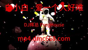 白小白 - 爱一个人好难（DJ辉总ReMix ProgHouse)-DMC视频舞曲