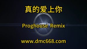 真的爱上你-DMC视频舞曲