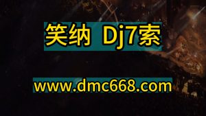 笑纳 Dj7索 Electro house Remix-DMC视频舞曲