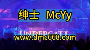 绅士 McYy  Electro house-DMC视频舞曲