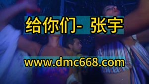 给你们 张宇 Electro house Remix-DMC视频舞曲