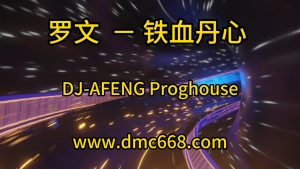罗文 － 铁血丹心 DJ-AFENG-DMC视频舞曲