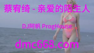 蔡宥绮 - 亲爱的陌生人(DJ阿帆 ProgHouse Rmx)-DMC视频舞曲