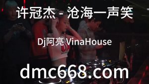 许冠杰 - 沧海一声笑(Dj阿亮 VinaHouse Rmx )-DMC视频舞曲