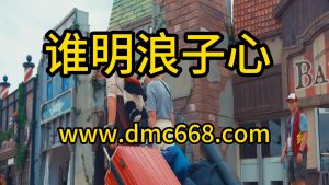 谁明浪子心-DMC视频舞曲