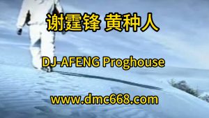 谢霆锋 黄种人 DJ-AFENG-DMC视频舞曲