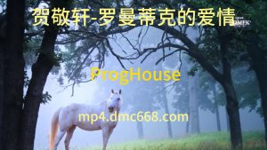 贺敬轩-罗曼蒂克的爱情 ProgHouse-DMC视频舞曲