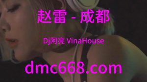 赵雷 - 成都(Dj阿亮 VinaHouse Rmx)-DMC视频舞曲