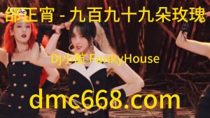 邰正宵 - 九百九十九朵玫瑰(Dj小航 FunkyHouse Rmx 2022)-DMC视频舞曲