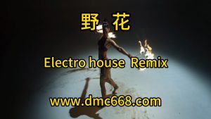 野花 Electro house Remix-DMC视频舞曲