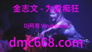 金志文 - 为爱痴狂(Dj阿亮 VinaHouse Rmx）-DMC视频舞曲