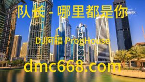 队长 - 哪里都是你 (DJ阿福 ProgHouse Mix国语男)-DMC视频舞曲