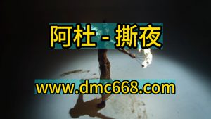 阿杜 撕夜  Electro house Remix-DMC视频舞曲