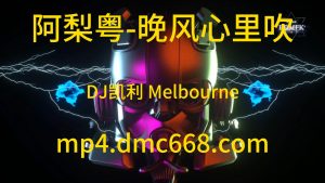 阿梨粤 - 晚风心里吹(DJ凯利 Melbourne Mix 女)-DMC视频舞曲