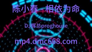 陈小春 - 相依为命（DJ辉总 proghouse ReMix)演唱会版-DMC视频舞曲