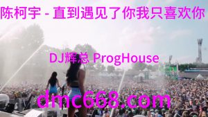 陈柯宇 - 直到遇见了你我只喜欢你(DJ辉总 ProgHouse Rmx 2023)-DMC视频舞曲