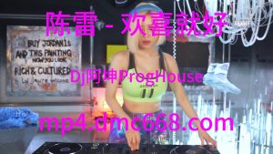 陈雷 - 欢喜就好(Dj阿坤 ProgHouse ReMix 2K21)-DMC视频舞曲