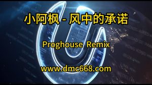 小阿枫 – 风中的承诺-DMC视频舞曲