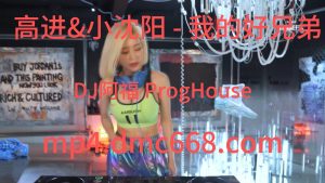 高进&小沈阳 - 我的好兄弟(DJ阿福 ProgHouse Mix )-DMC视频舞曲