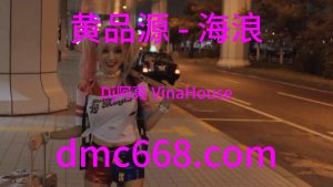 黄品源 - 海浪(Dj阿亮 VinaHouse Rmx 2024)-DMC视频舞曲