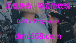 凤凰传奇 - 等爱的玫瑰(DJ博文 ProgHouse Rmx 2023)-DMC视频舞曲