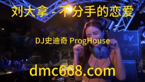 刘大拿 - 不分手的恋爱(DJ史迪奇 ProgHouse Rmx 2023)-DMC视频舞曲