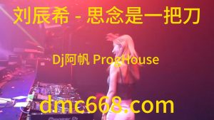 刘辰希 - 思念是一把刀(Dj阿帆 ProgHouse Rmx 2023)-DMC视频舞曲