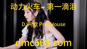 动力火车 - 第一滴泪(DJ阿欧 ProgHouse Rmx 2023)-DMC视频舞曲