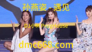 孙燕姿 - 遇见(DJ小M ProgHouse Rmx 2023)-DMC视频舞曲
