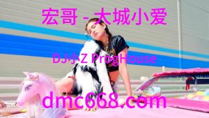 宏哥 - 大城小爱(桂林DJ小Z ProgHouse Rmx 2023)-DMC视频舞曲
