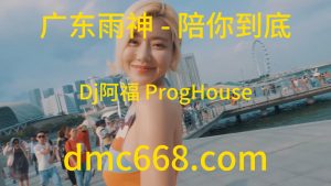 广东雨神 - 陪你到底(Dj阿福 ProgHouse Rmx 2023)-DMC视频舞曲