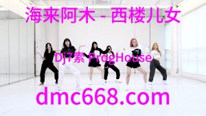 海来阿木 - 西楼儿女(Dj7索 ProgHouse Rmx 2023)-DMC视频舞曲