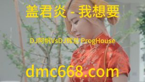 盖君炎 - 我想要(DJ阿帆VsDJ辉总 ProgHouse Rmx 2023)-DMC视频舞曲