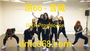 胡66 - 雪藏(DjZR ProgHouse Rmx 2023)-DMC视频舞曲