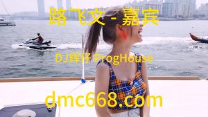 路飞文 - 嘉宾(岑溪DJ辉仔 ProgHouse Rmx 2023)-DMC视频舞曲
