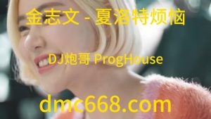 金志文 - 夏洛特烦恼(DJ炮哥 ProgHouse Rmx 2023)-DMC视频舞曲