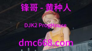 锋哥 - 黄种人(DJK2 ProgHouse Rmx 2023)-DMC视频舞曲
