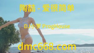 陶喆 - 爱很简单(DJ小罗 ProgHouse Rmx 2023)-DMC视频舞曲