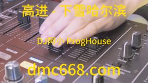高进 - 下雪哈尔滨(DJ阿小 ProgHouse Rmx 2023)-DMC视频舞曲