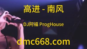 高进 - 南风(DJ阿福 ProgHouse Rmx 2023)-DMC视频舞曲