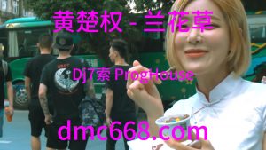 黄楚权 - 兰花草(Dj7索 ProgHouse Rmx 2023)-DMC视频舞曲