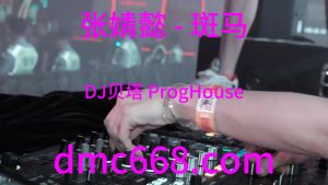 张婧懿 - 斑马(DJ贝塔 ProgHouse Rmx 2023)-DMC视频舞曲