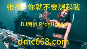 张杰 - 你就不要想起我(DJ阿帆 ProgHouse Rmx 2023)-DMC视频舞曲