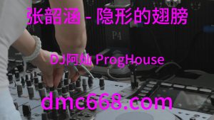 张韶涵 - 隐形的翅膀(DJ阿灿 ProgHouse Rmx 2024)-DMC视频舞曲