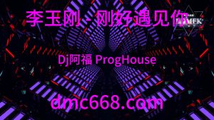 李玉刚 - 刚好遇见你 (Dj阿福 ProgHouse Remix)-DMC视频舞曲