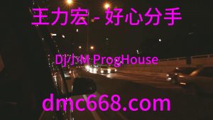 王力宏 - 好心分手(Dj小M ProgHouse Rmx 2024)-DMC视频舞曲