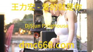 王力宏 - 爱的就是你(DjSjun ProgHouse Rmx 2023)-DMC视频舞曲